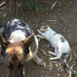 Circle 2e4ea93f 0d1e 4730 8a32 73989ad5a24d