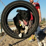Circle c8ef3d8e 6e13 4173 b77f 835efe8fc733