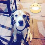 Circle 6ac0c1c0 f1ec 4156 923d a17dc04aac7e