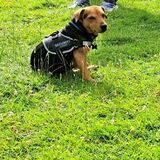 Toby avatar