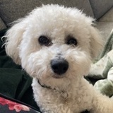 Jackson avatar
