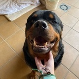Thor avatar