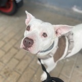 Hera avatar