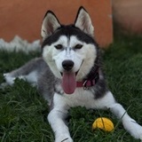 Bianka avatar