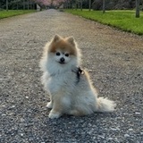 Sam  avatar