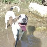 Chloe avatar
