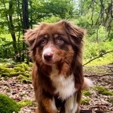 Skye avatar