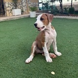 Akila avatar