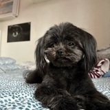 Bumbury avatar