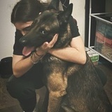 Balou avatar