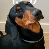 Axel avatar