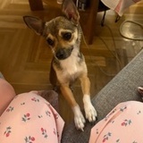 Mirabelle avatar