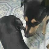 Ali y jack avatar