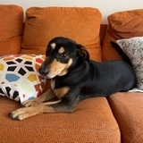 Tobby avatar