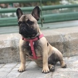 Zaya avatar