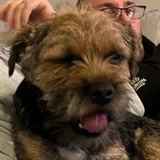 Ralph avatar