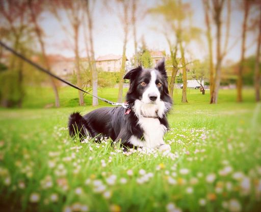 Slider a714fff2 b9c2 497d 8e4e 33904b47f742