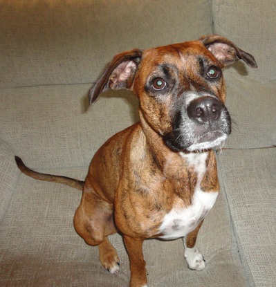 Slider dsc05291 2
