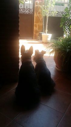 Slider jacky y beca