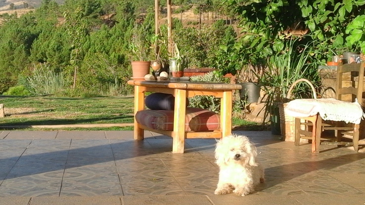 Slider ama en el jardin 1