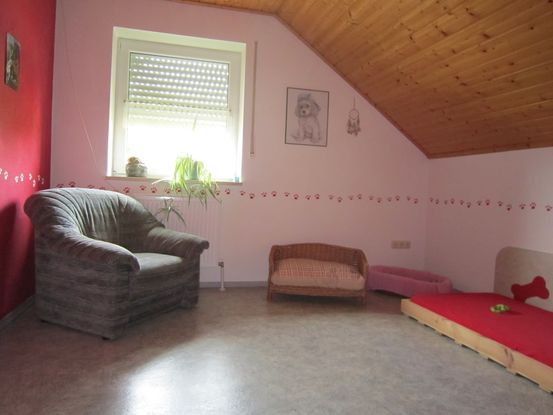 Slider hundezimmer1