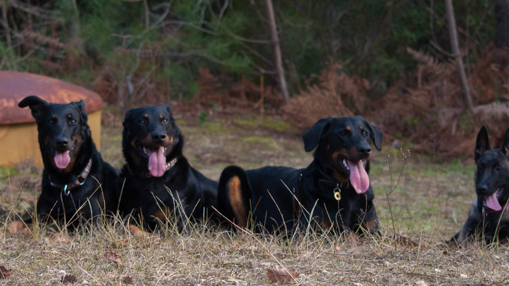 Slider dsc 0045
