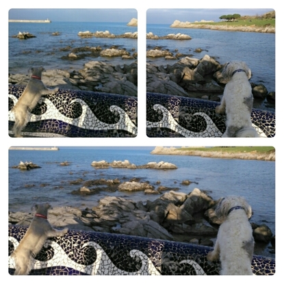 Slider pixlr