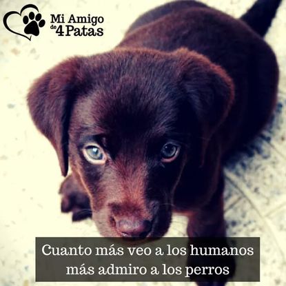 Slider fb img 1510690680668