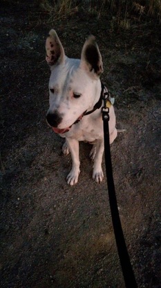 Slider luna