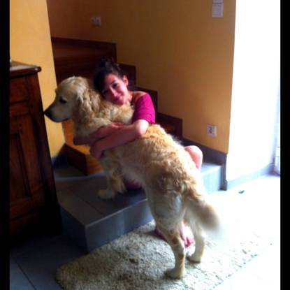 Slider chien1