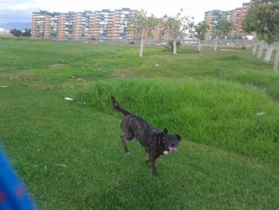 Slider 2014 10 15 18.37.56