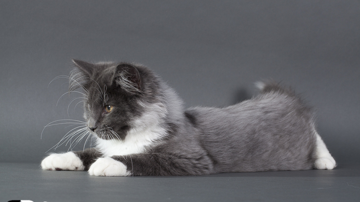 Slider img 3462