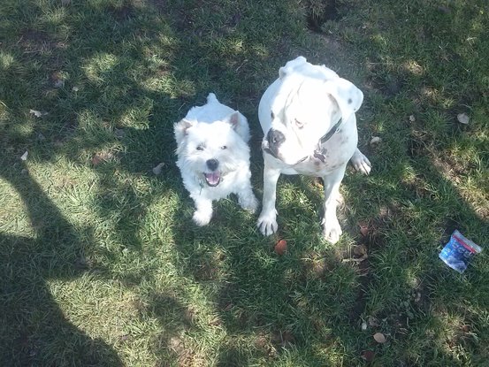 Slider rio y ona