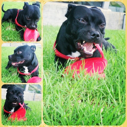 Slider img 20140918 163655