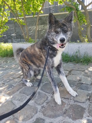Slider 20180427 125803