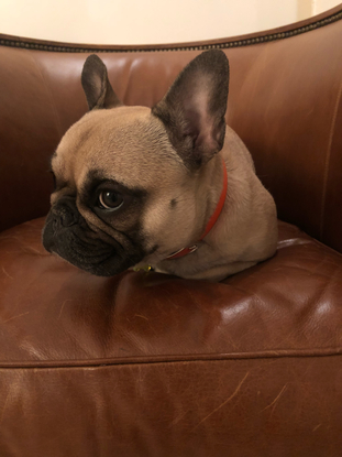 Slider 1528581070