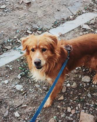 Slider 1530610058