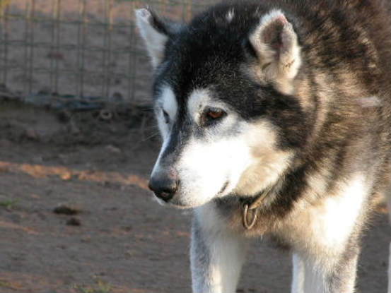 Slider 02070057