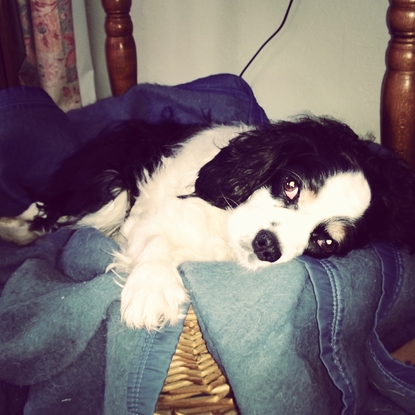 Slider instagramcapture 01bbde44 4786 4680 878f 372a6455ec52 jpg