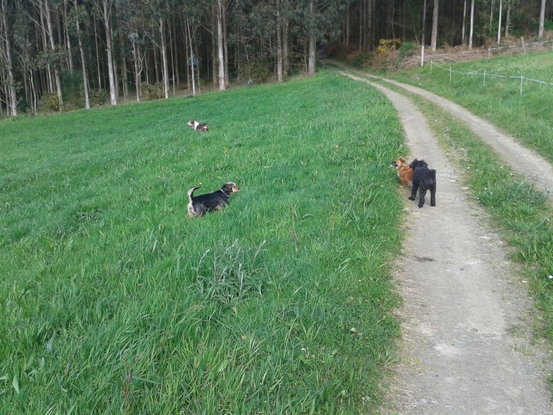 Slider lugares de paseo 4