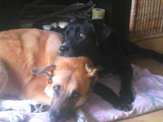 Slider dsc 0804