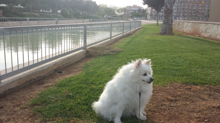 Slider 20150502 193438
