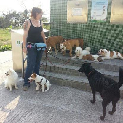 Slider_dogs
