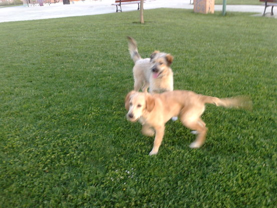 Slider fotos gisella movil 061