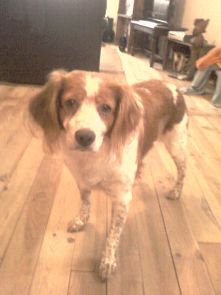 Slider photo 0084 2