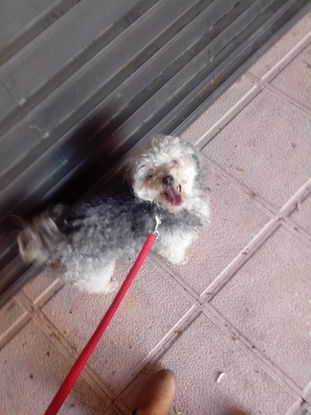 Slider img 20150330 193909