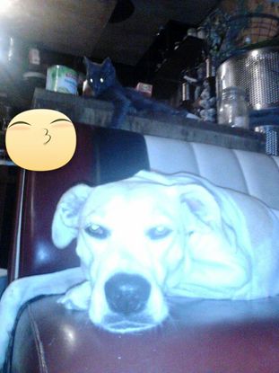 Slider edited img 20150828 223829