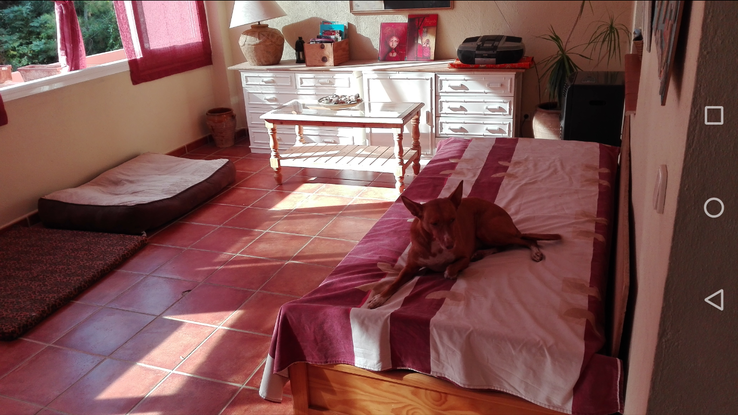 Slider gudog1