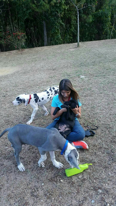 Slider share image 1464886332341