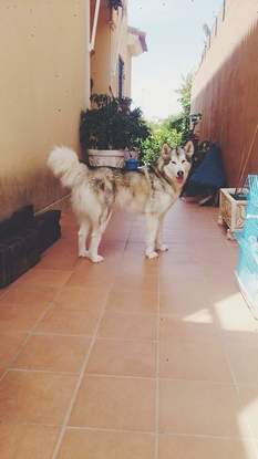 Slider fb img 1469703522648